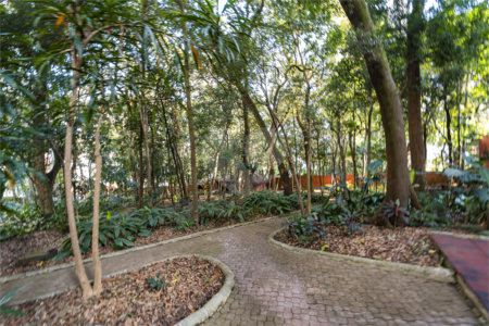 Apartamento à venda com 3 quartos, sendo 1 suíte,  em Vila Mascote, São Paulo, SP