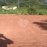 Terreno plano, com 12.000 M² disponivel para construção. Venha fazer uma visita.