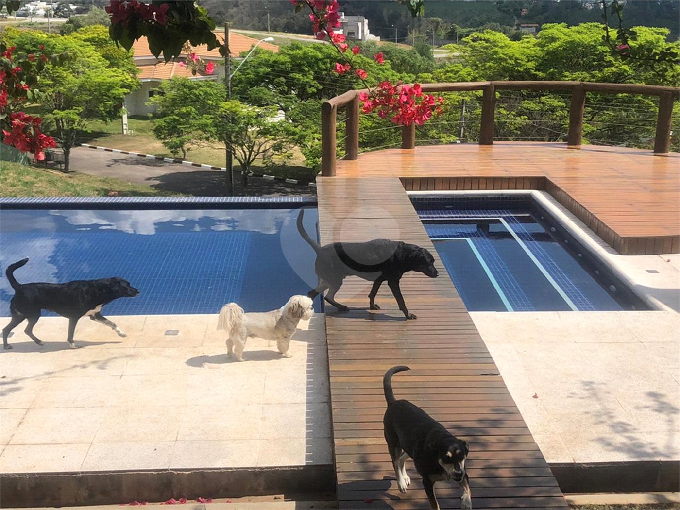 Mansão de Luxo em Louveira: Viva o Sonho no Condomínio Jardim Primavera