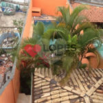 Ótimo sobrado à venda na Vila Mazzei, você precisa conhecer!