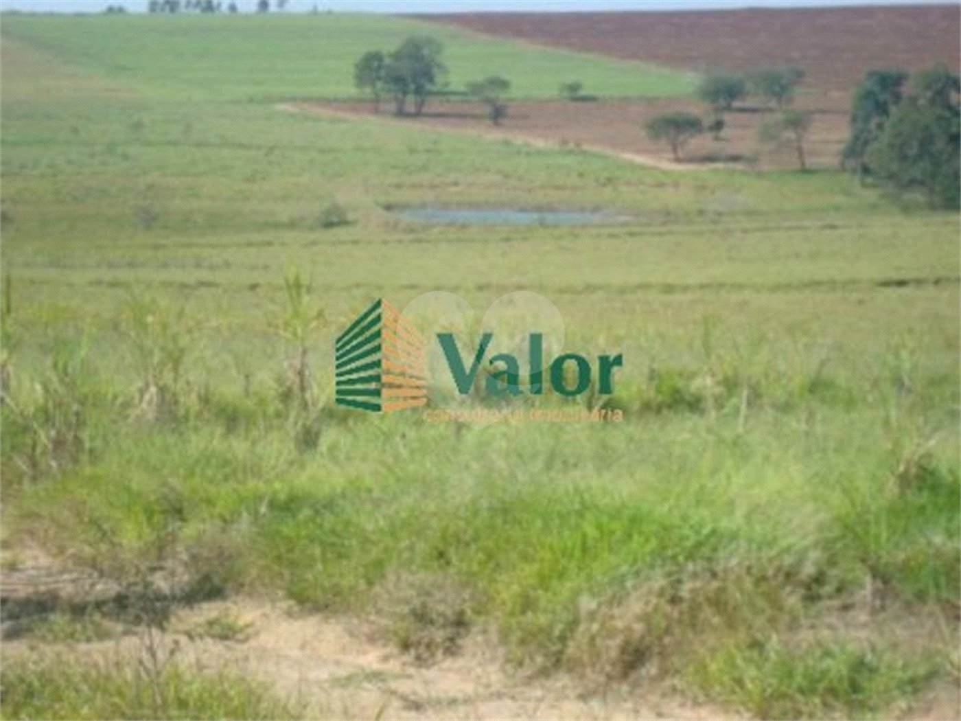 Sitio Rural São Carlos