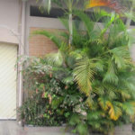 Galpão á venda - Zona Sul