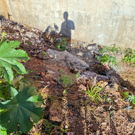 Terreno à Venda de 253 m² em Bairro em Desenvolvimento – Excelente Localização Próximo ao Comércio