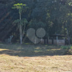 Sitio Granjeiro região de Água Vermelha 6,5 Alqueires (16,5 Hectares)