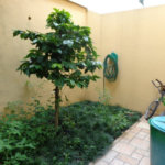 Casa à venda com 2 suítes em Jardim Olympia, São Paulo, SP