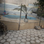 Casa à venda com 2 quartos em Parque Cidade Jardim II, Jundiaí, SP