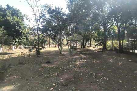 Chácara dos Sonhos à Venda – São Carlos/SP – Recreio Campestre