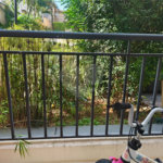 Apartamento á venda - Jabaquara