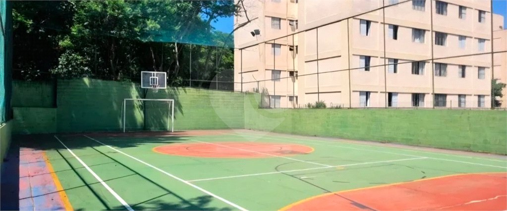 Apartamento à venda ou para alugar com 3 quartos em Jardim Esmeralda, São Paulo, SP