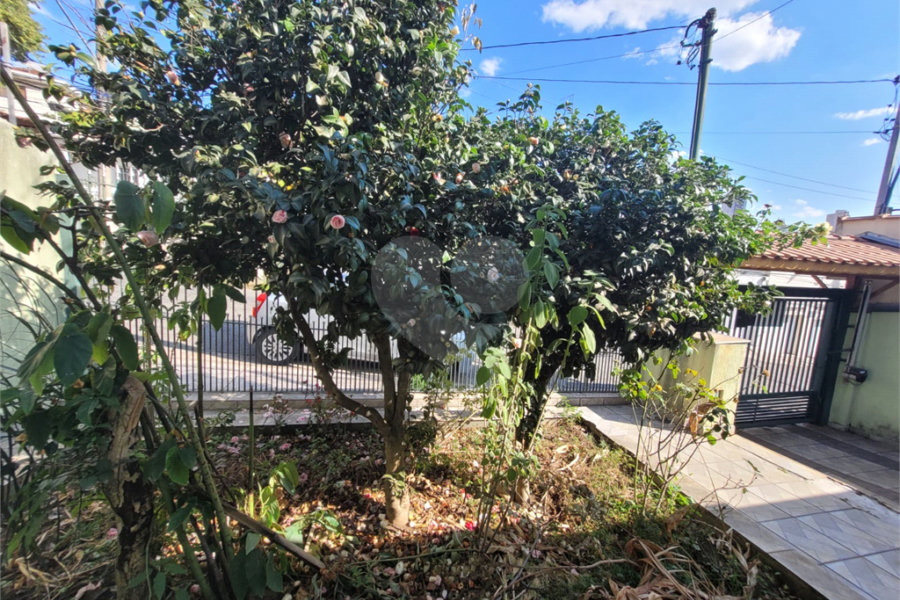 Casa Térrea à venda com 3 quartos, sendo 1 suíte, em Pirituba, São Paulo, SP