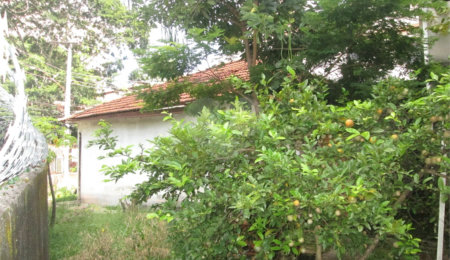 Casa Térrea à venda com 1 quarto em Santana, São Paulo, SP