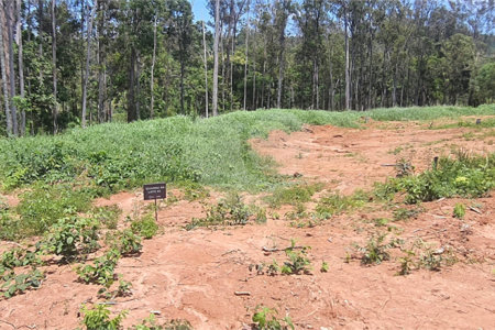 Terreno à venda no condomínio Estäncia Parque de Atibaia, Atibaia - SP