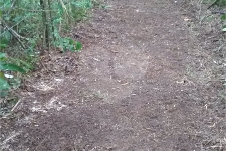 Área de Terra à venda em Jardim Cardoso (mailasqui), São Roque, SP
