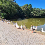 Casa à venda com 3 quartos, sendo 1 suíte, no condomínio Terras de São Francisco, Vinhedo - SP