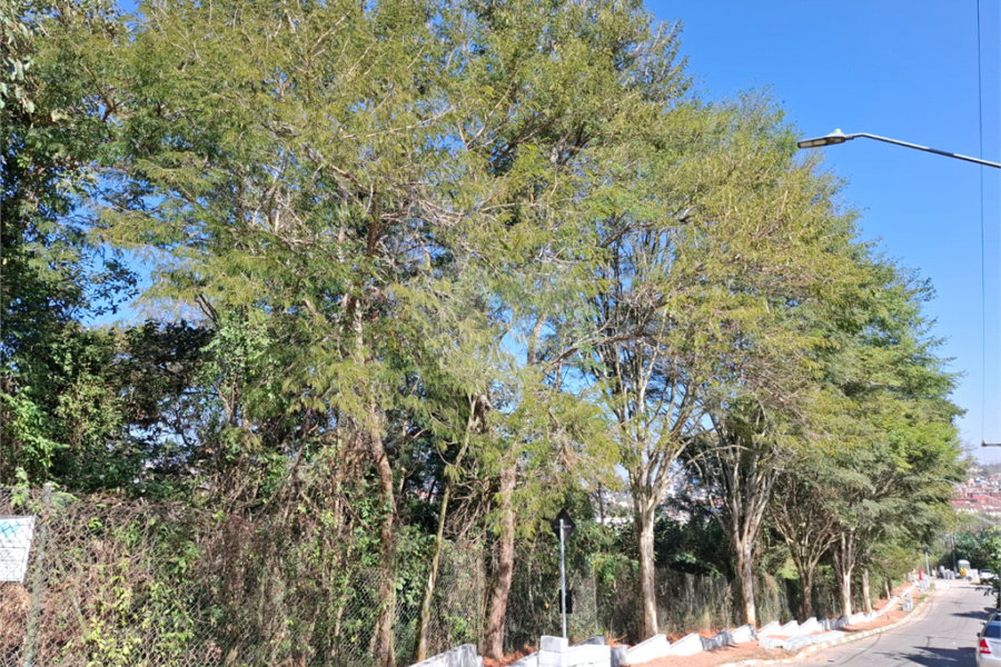 Terreno à venda em Jardim Peri, São Paulo, SP