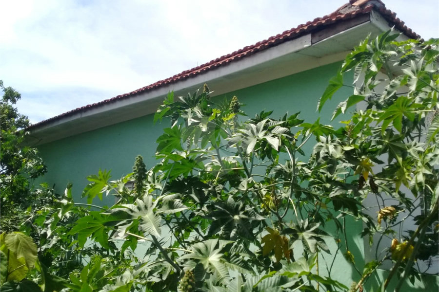 Terreno à venda em Tucuruvi, São Paulo, SP