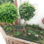 Sobrado à venda com 4 suítes em Jardim Franca, São Paulo, SP