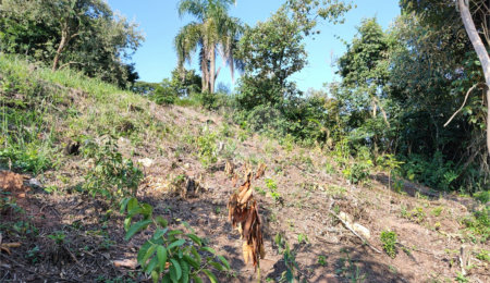 Terreno à venda em Jardim Paulista, Atibaia, SP