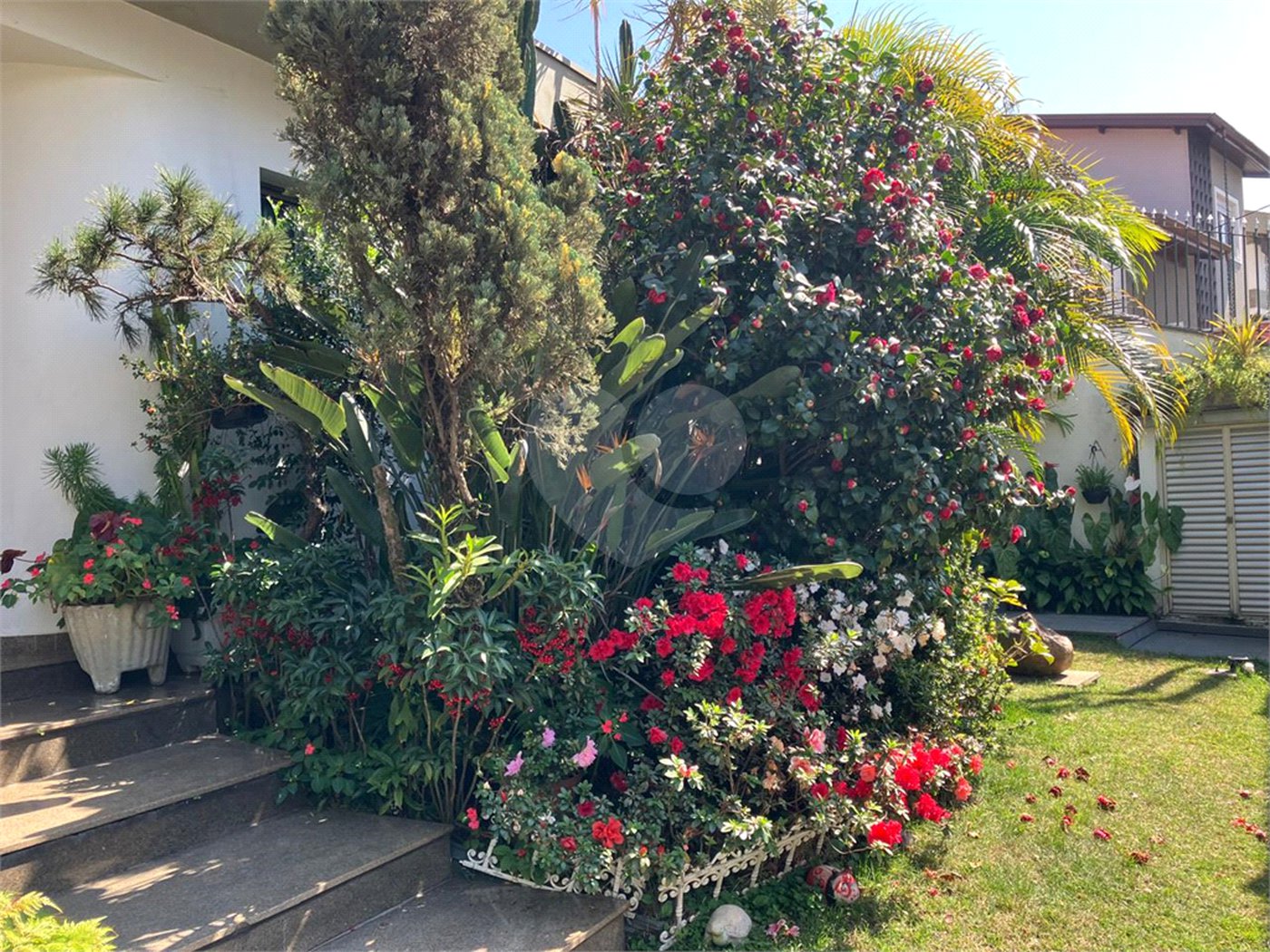 Casa à venda com 5 quartos, sendo 2 suítes,  em Vila Maria Alta, São Paulo, SP