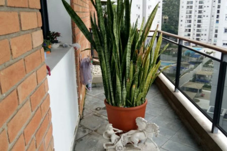 Apartamento à venda com 3 quartos, sendo 2 suítes,  em Jardim Parque Morumbi, São Paulo, SP