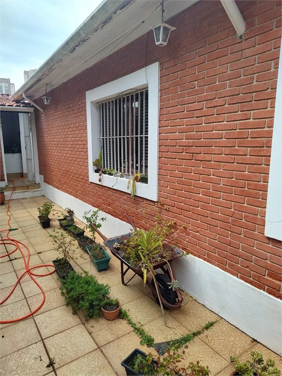 Casa Térrea à venda com 3 quartos, sendo 1 suíte, em Super Quadra Morumbi, São Paulo, SP