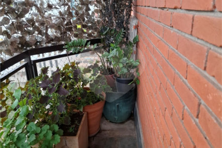 Apartamento à venda com 4 quartos, sendo 2 suítes,  em Brooklin Paulista, São Paulo, SP