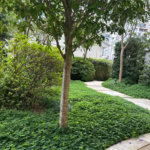 Apartamento para alugar com 3 quartos, sendo 1 suíte, em Pinheiros, São Paulo, SP