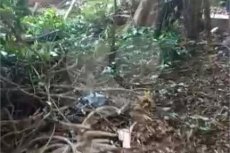 Terreno à venda com 1 quarto em Chora Menino, São Paulo, SP