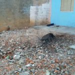 Prédio à venda com 12 quartos em Tremembé, São Paulo, SP