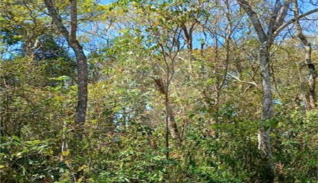 Terreno à venda em Remédios, Mairiporã, SP