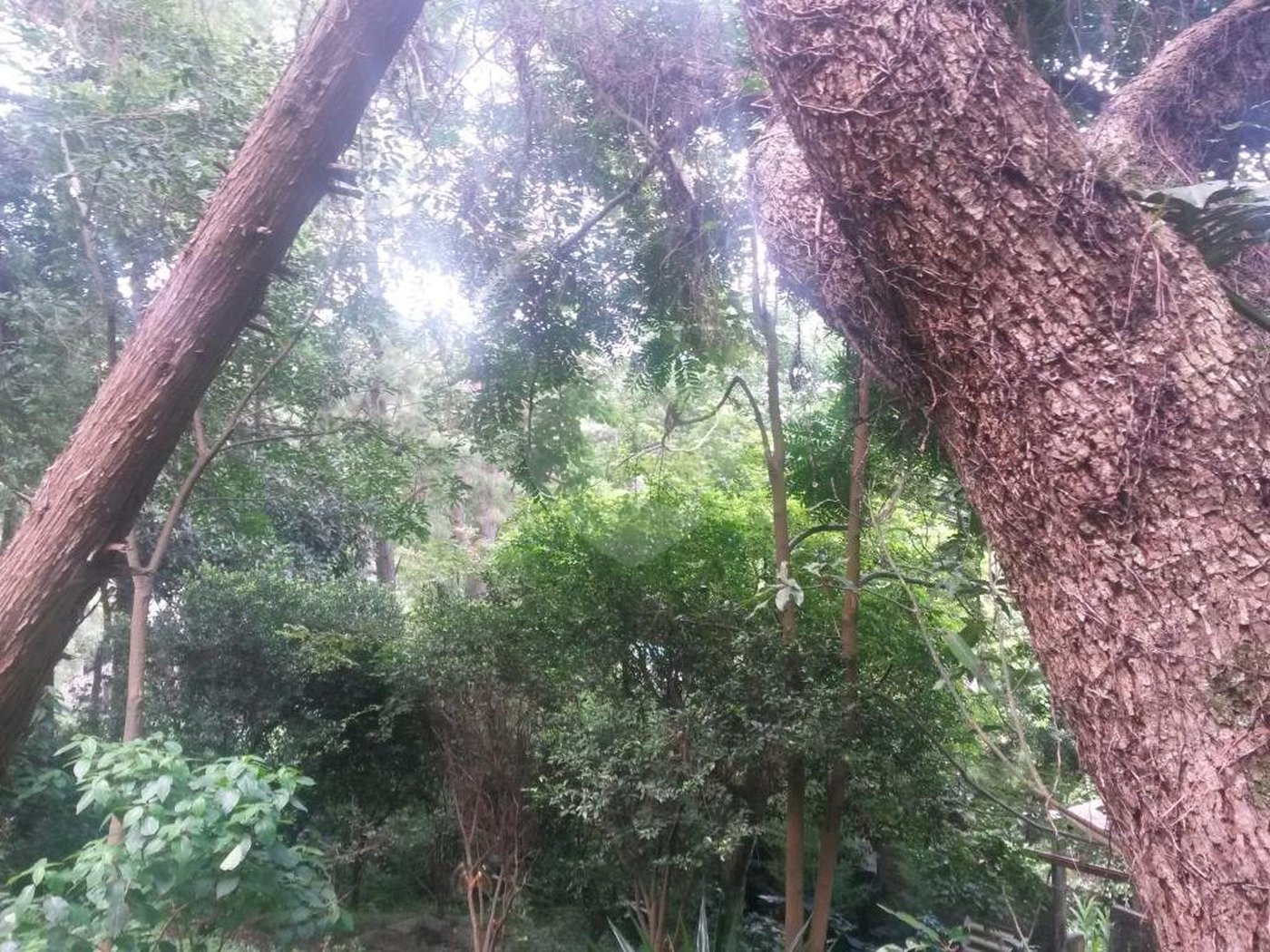 Casa Térrea à venda com 4 quartos, sendo 2 suítes,  em Tucuruvi, São Paulo, SP