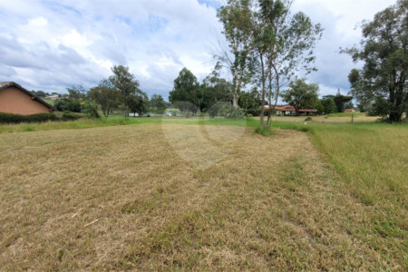 Loteamento Residencial no Condomínio Vila Pinhal do Broa.