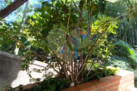 Sobrado à venda com 4 suítes em Barro Branco (zona Norte), São Paulo, SP