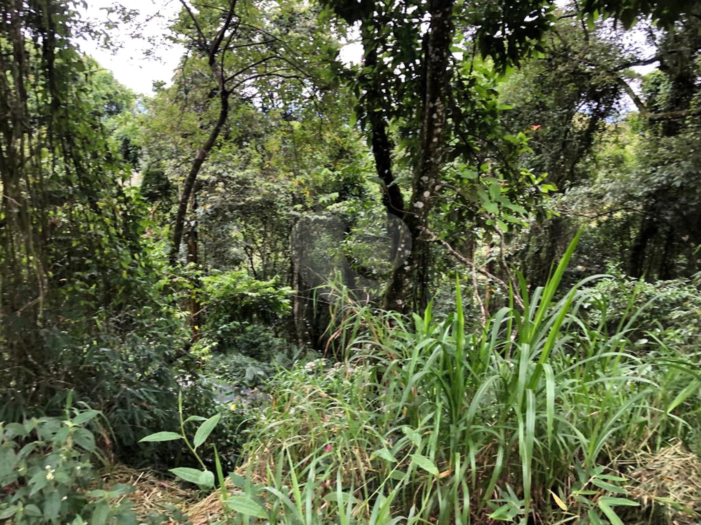 Terreno à venda no condomínio Gleba E1 E2, Mairiporã - SP