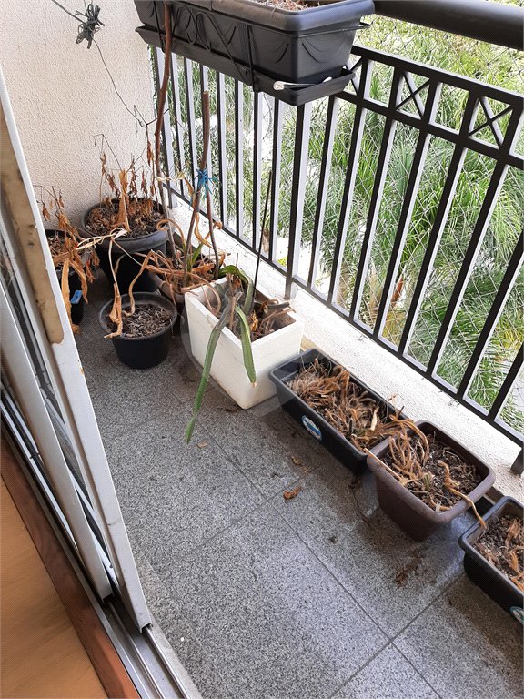 Apartamento à venda ou para alugar com 3 quartos, sendo 1 suíte,  em Vila Suzana, São Paulo, SP