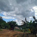 VENDA SÍTIO 48 hectares com estruura para granja, hidroponia e gado
