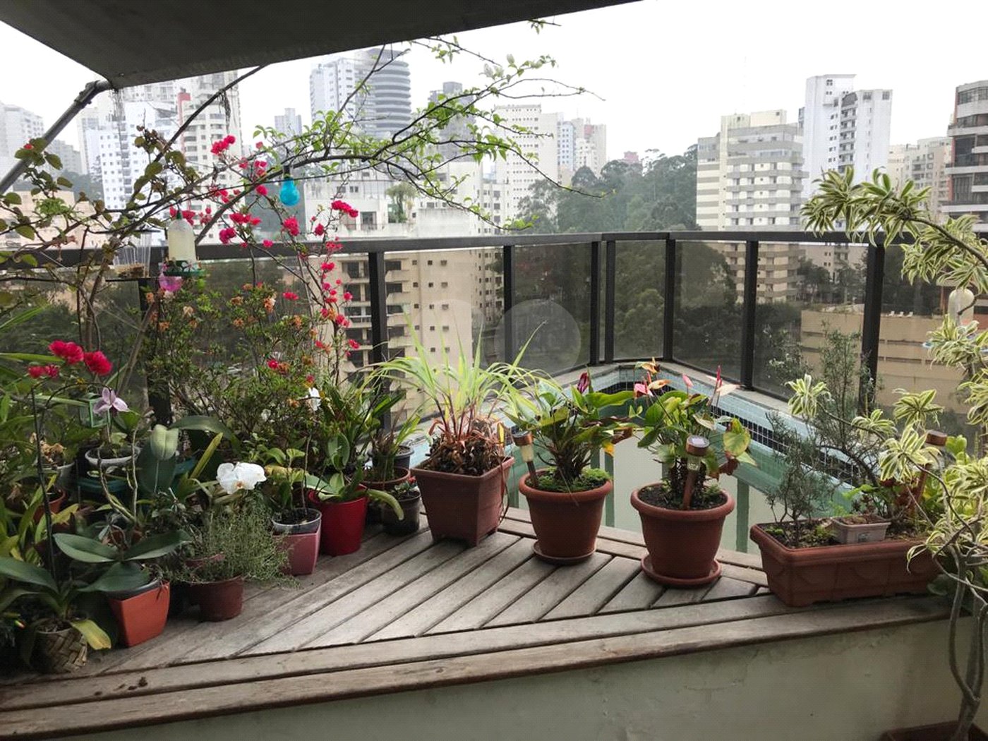 Apartamento à venda com 3 quartos, sendo 1 suíte, em Vila Andrade, São Paulo, SP