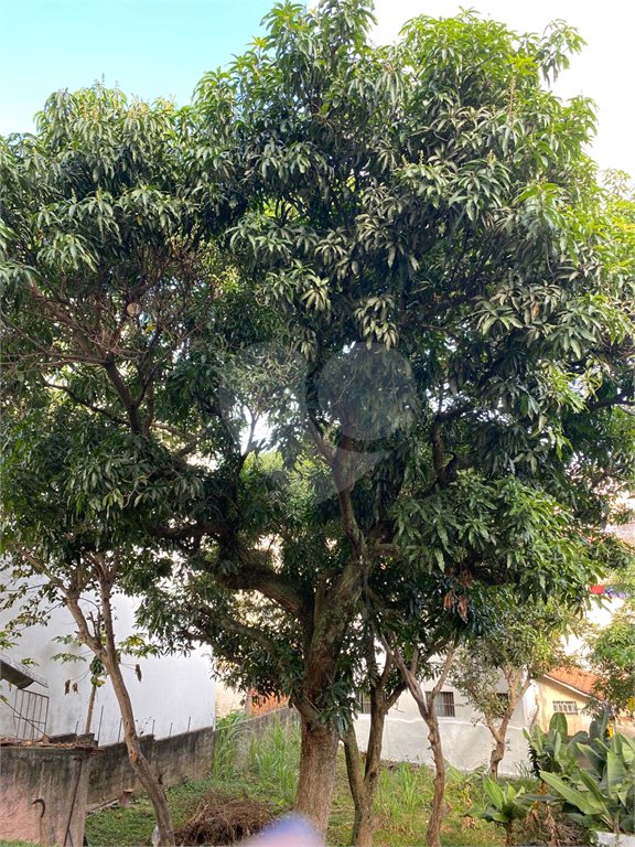 Casa à venda com 3 quartos em Santana, São Paulo, SP