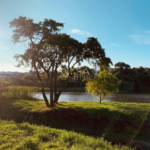 Terreno em condomínio à venda em Jardim Villagio Milano, Sorocaba, SP