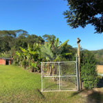Terreno à venda com 5 quartos, sendo 4 suítes, em Vila Aparecida, Suzano, SP