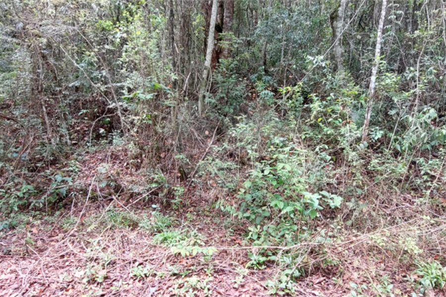 Terreno à venda no condomínio Alpes da Cantareira, Mairiporã - SP