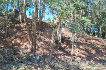Terreno à venda em Jardim Peri, São Paulo, SP