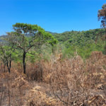 Terreno à venda em Serra da Cantareira, Mairiporã, SP