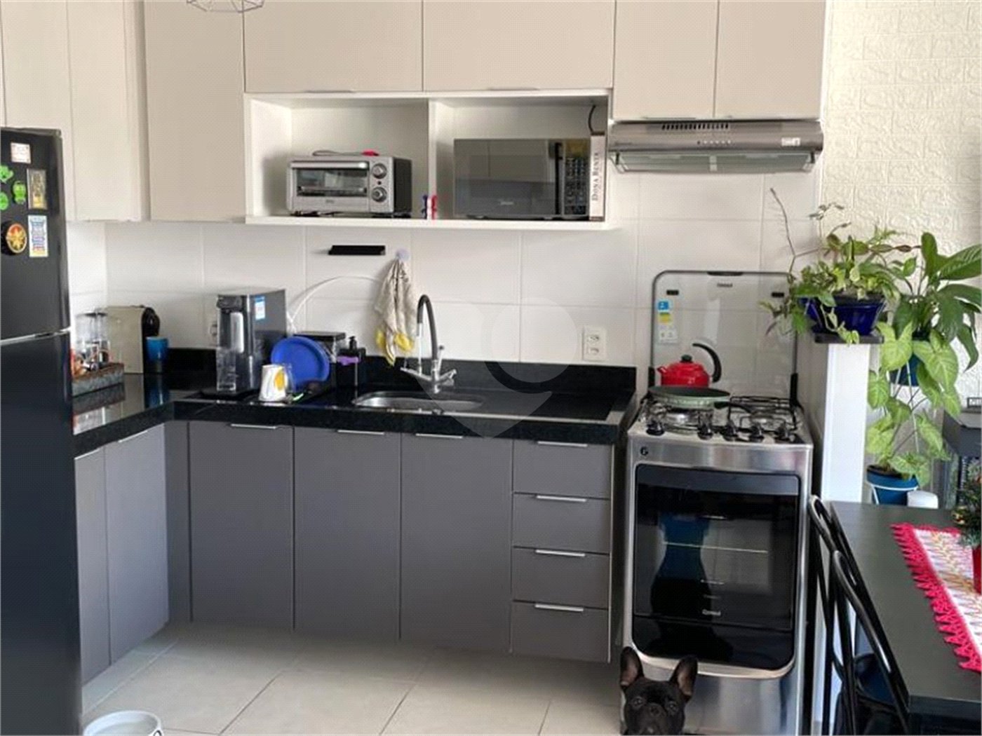 Apartamento à venda com 1 quarto em Cambuci, São Paulo, SP