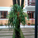 Casa à venda com 4 quartos, sendo 2 suítes, no condomínio Vila Panamericana, São Paulo - SP