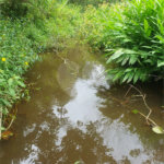 Terreno à venda em Vila Moraes, Mogi das Cruzes, SP