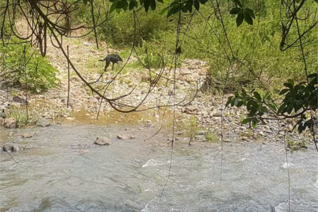 Fazenda à venda com 2 quartos em Canabrava, João Pinheiro, MG