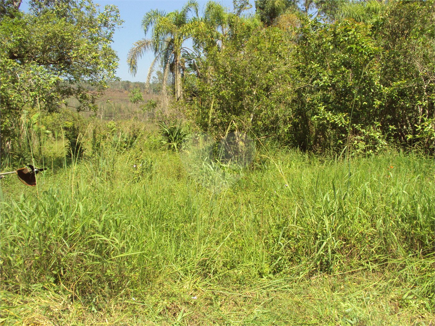 Chácara à venda com 1 quarto em Cruz das Almas, Biritiba-mirim, SP
