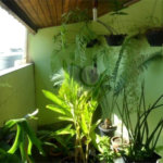 Casa à venda com 3 quartos, sendo 1 suíte, em Jardim Santa Helena, Poá, SP