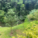 Vende-se chácara com lago Nazare Paulista com 3.000 m²